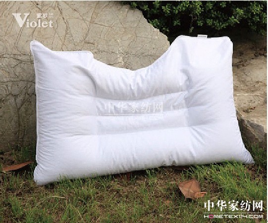 紫羅蘭,今冬因你而暖