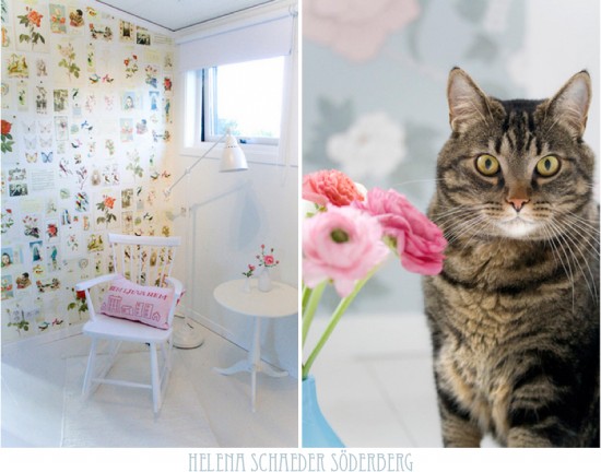 ���ˇ�g��Helena��������(chu��ng)��Ҿ�