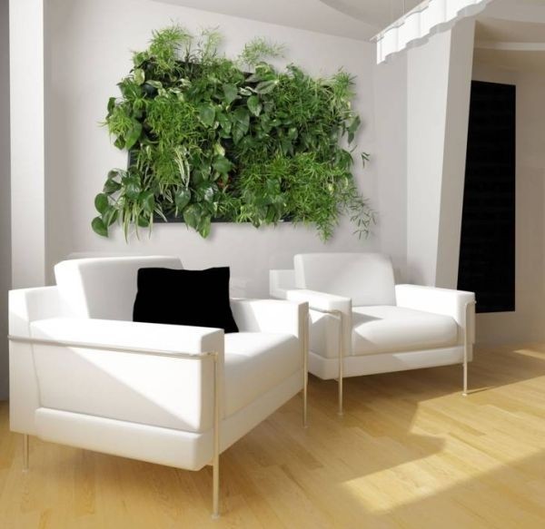 �h������ֲ��b�c�Ҿӭh��(2)