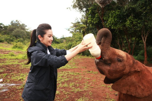 ���������"׃��"�����h�����J(r��n)�B(y��ng)����