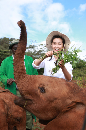 ���������"׃��"�����h�����J(r��n)�B(y��ng)����