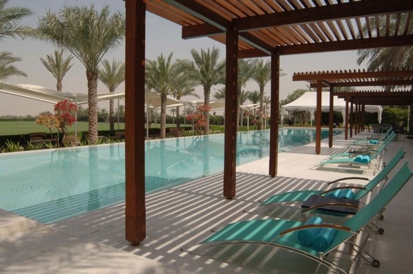 �ϰݵ����A�L��DesertPalm�ȼٴ�