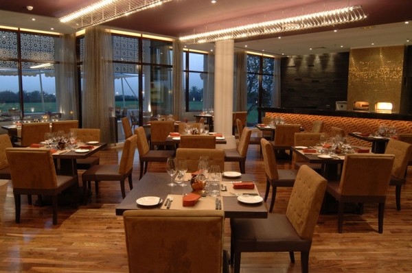 �ϰݵ����A�L(f��ng)��DesertPalm�ȼٴ�