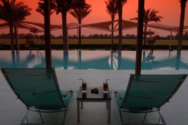 �ϰݵ����A�L��DesertPalm�ȼٴ�