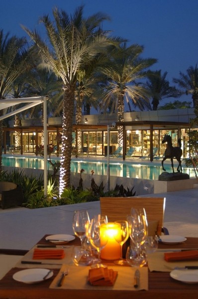 �ϰݵ����A�L��DesertPalm�ȼٴ�
