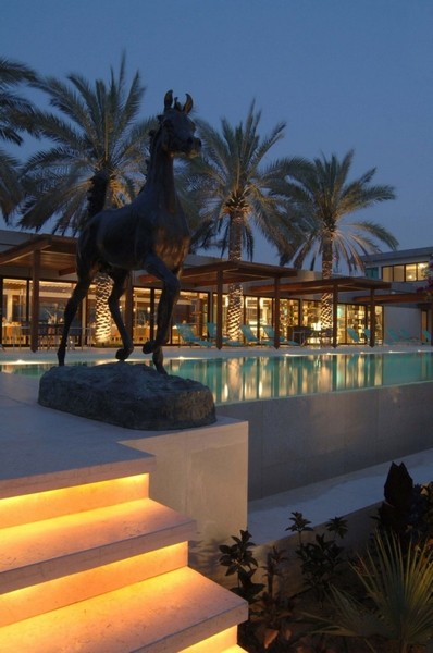 �ϰݵ����A�L��DesertPalm�ȼٴ�
