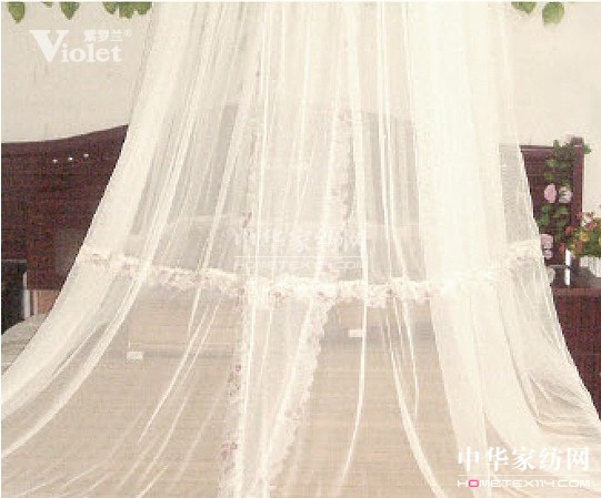 紫羅蘭:花開(kāi)半夏猶見(jiàn)風(fēng)姿清雅