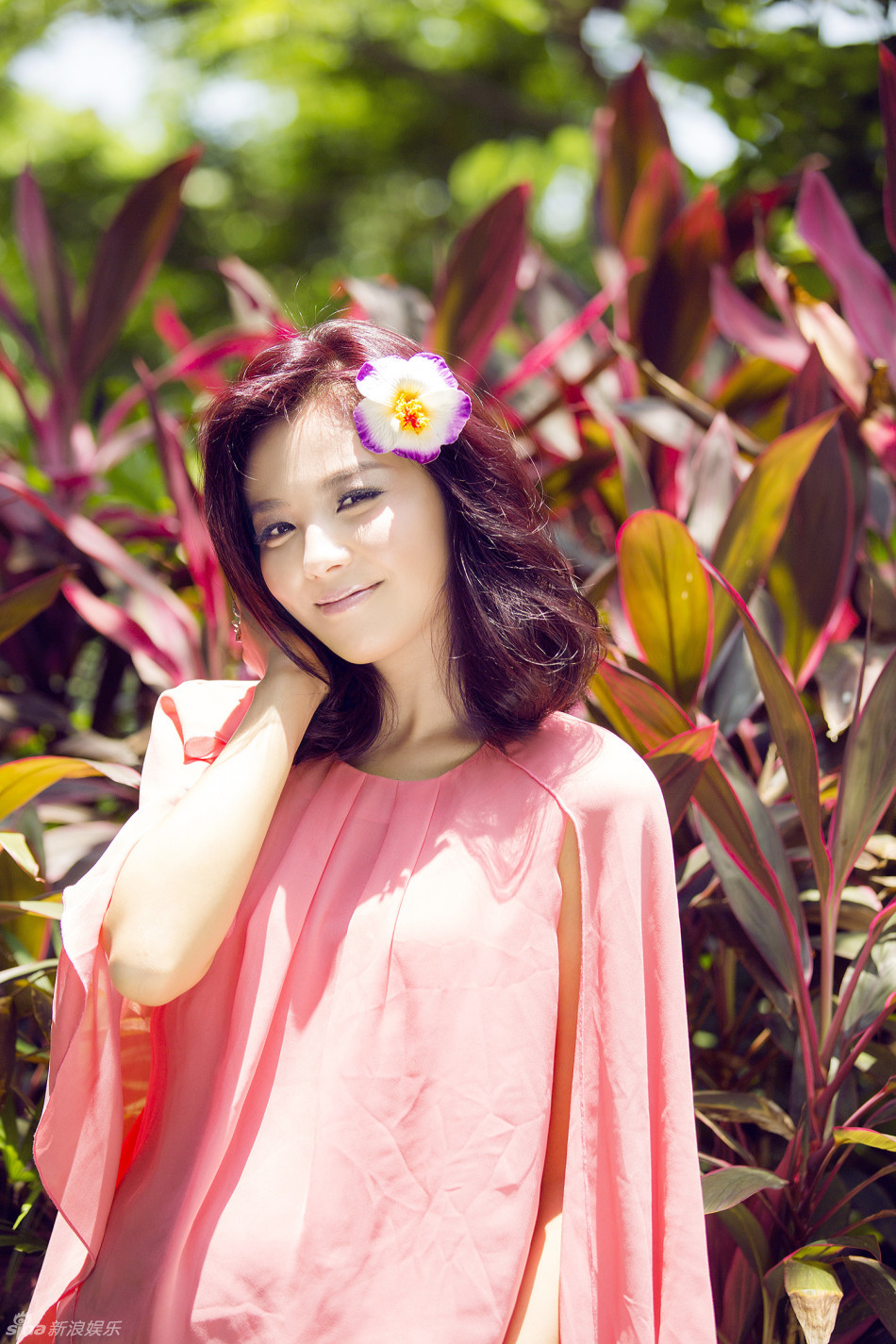 ��������������Ц��������������