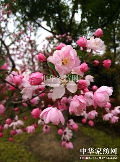 寶縵首屆“夢想▪成長”主題攝影大賽感動落幕