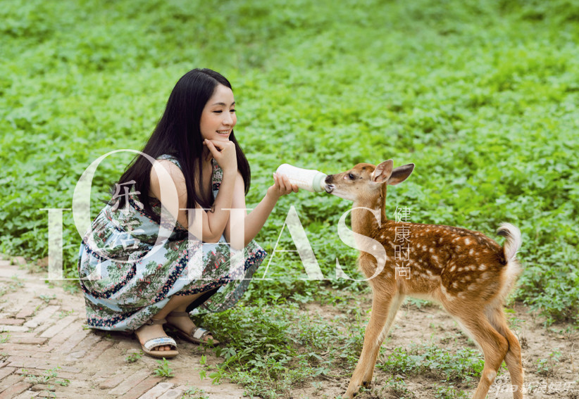 �պ���������t������Ȼ�����B