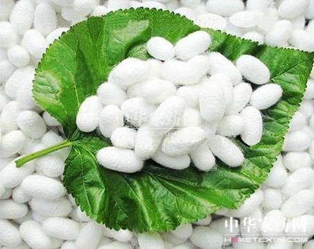 �Q�z���Z���_�m�Ҽ������V�f