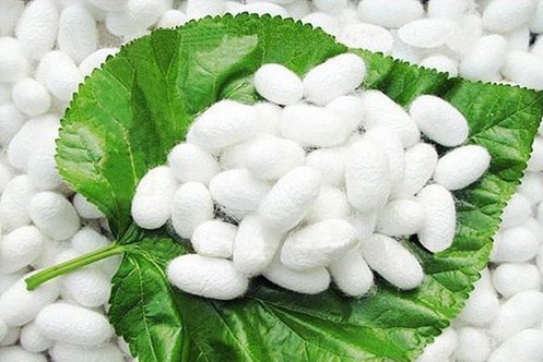 �Q�z��������