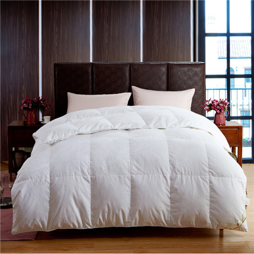 ��q�������L�r����