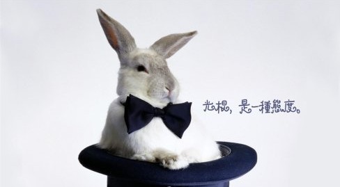 �󔵓���̣��R�Ƶġ��p11����������