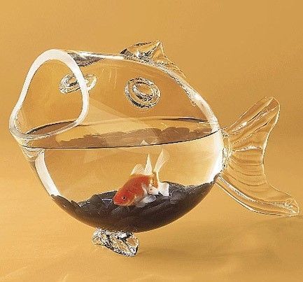 �����＾�Ҿ����Ĳ����ϻ�