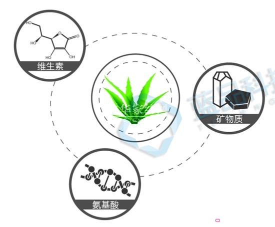 藍(lán)品:蘆薈素纖維 打造全新床品體驗(yàn)
