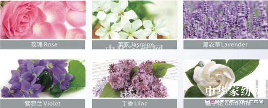 �{(l��n)Ʒ�����㴲Ʒ ׌�������ζ��