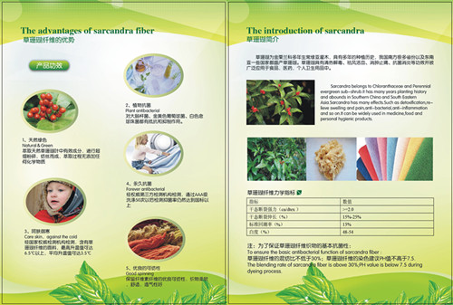 百草纖維科技:走進(jìn)草本植物新材料世界