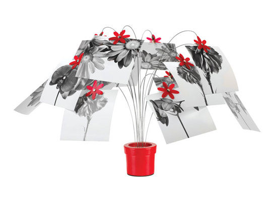 ���⻨�ͼ�Ʒ������|��������