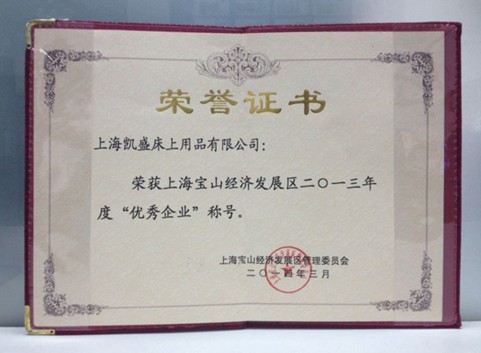 凱盛榮膺上海寶山年度優(yōu)秀企業(yè)