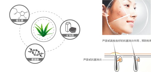 �{Ʒ�Ƽ�������Ȼ���B������