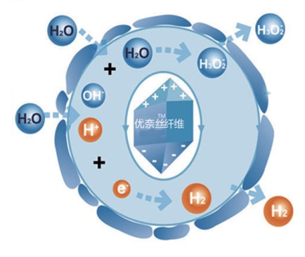 藍品科技優奈絲:女性家紡呵護美麗