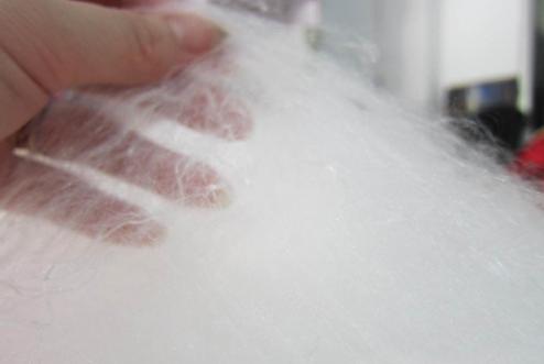 �L���|���O(ji��n)�y������Q�z���˳ɲ��ϸ�