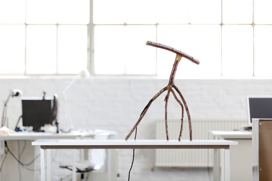 ������ߣ���֦����