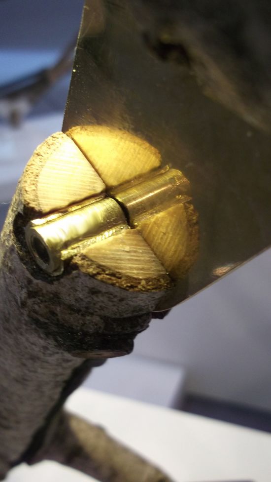 ������ߣ���֦����