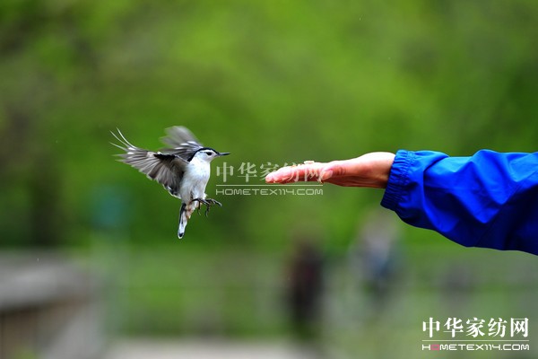 ��ُ��Ϋ@��͵����θ���