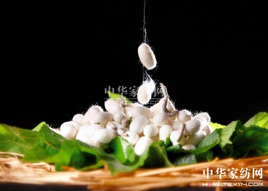 �V���Q�I(y��)���g(sh��)�ƏV��r������(hu��)�ό����_