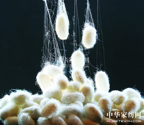 真絲與人造絲的區別