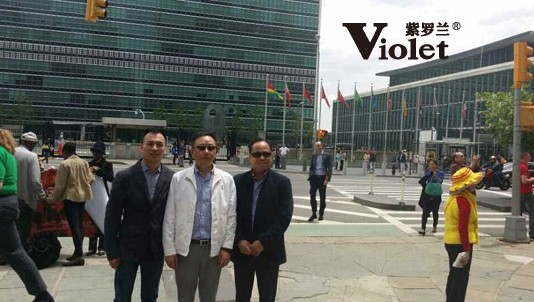 楊兆華攜紫羅蘭董事長陳永兵考察美國市場