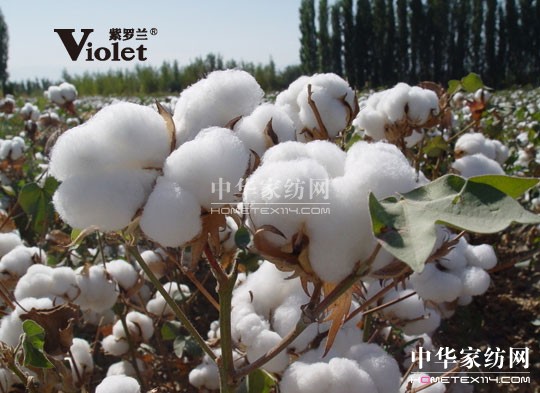 精選床品,我選擇從健康入手