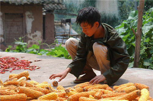 Ʒ�|58��������Ҽ��cȫ��ۼ���һͬ����