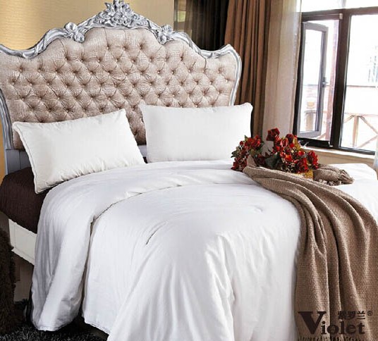 ���_�m���P���Q�z�������c��