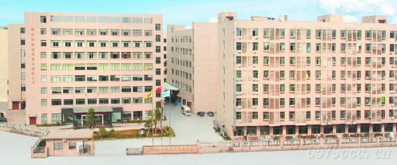 �t���tˎ���������x����������˼·