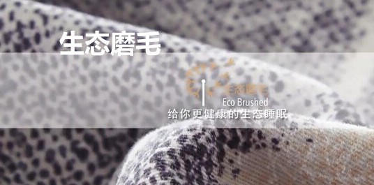 ���_�m���Bĥë��Ʒ��׌˯�߻ؚw�������|