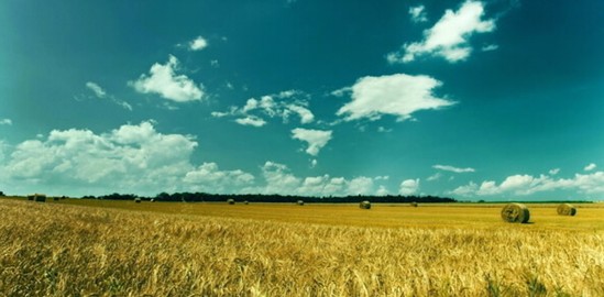 ���_�m�Ҽ���ɭ��������˯�ߡ����C���Сɭ��