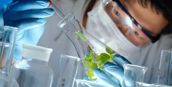 ���_�m�Ҽ���ɭ��������˯�ߡ����C���Сɭ��