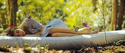 �ܽ^���f���x�����x���_�m���C�Ҽ�