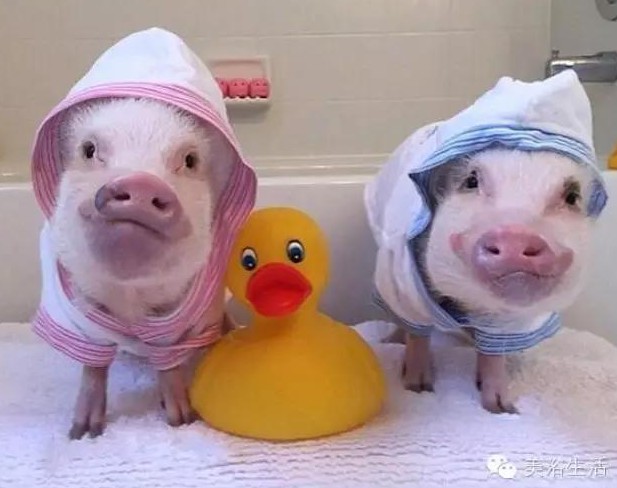 美浴生活:一條好浴巾,就帶給你不言而喻的幸福!