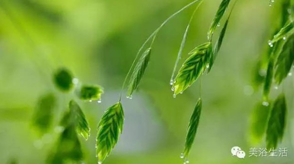 ��ԡ���Փһ�lë�����������B��