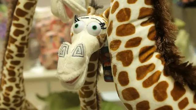 �L�Һ�ꖵĄPʢ�Ҿ������^�µ��_�I(y��)���Ȳ�������ȥ��