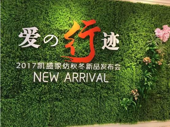 PʢҼ۵E2017ﶬƷlAMYɣsҫ35