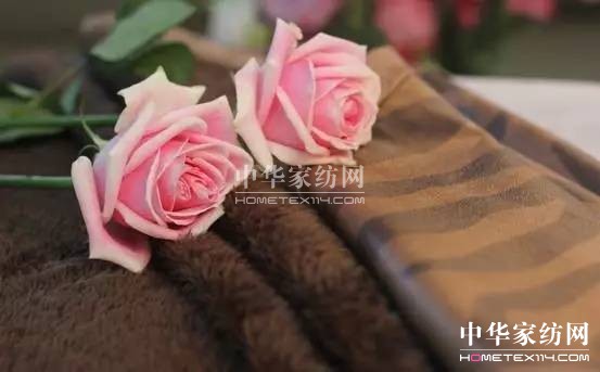 ƤƤɳlǺƤ2017ϺﶬҼչƤIȻ@ôîaƷ