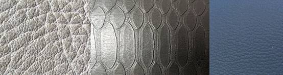 ƤƤɳlǺƤ2017ϺﶬҼչƤIȻ@ôîaƷ