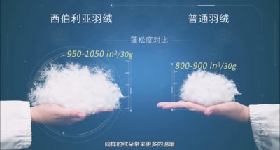 水星家紡西伯利亞鵝絨被 -- 來自極寒地區的保暖神器