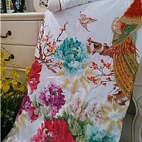 ��ɫ����2