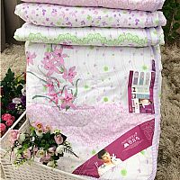 ���������ı�